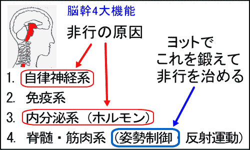 脳幹（姿勢制御）機能を鍛えて精神の不調（非行）を抑える