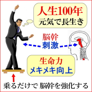人生100年時代の友・脳幹トレーニングセット
