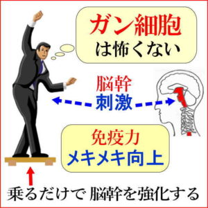 脳幹トレーニングセット